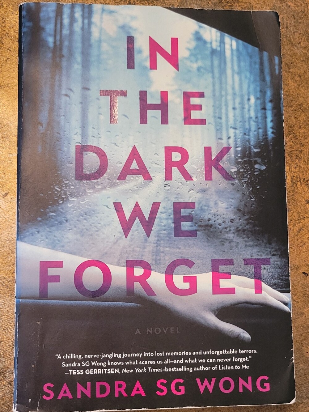 In the Dark We Forget Paperback Thriller Novel by Sandra SG Wong